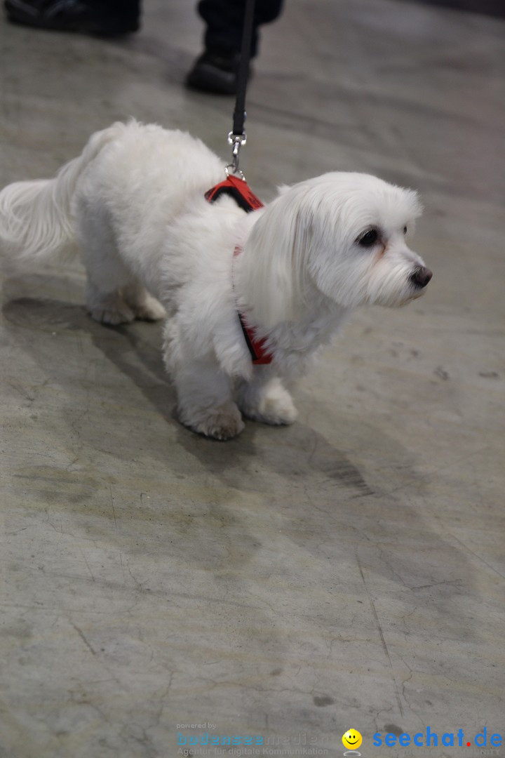 ANIMAL - Die Heimtiermesse: Messe Stuttgart, 16.11.2013