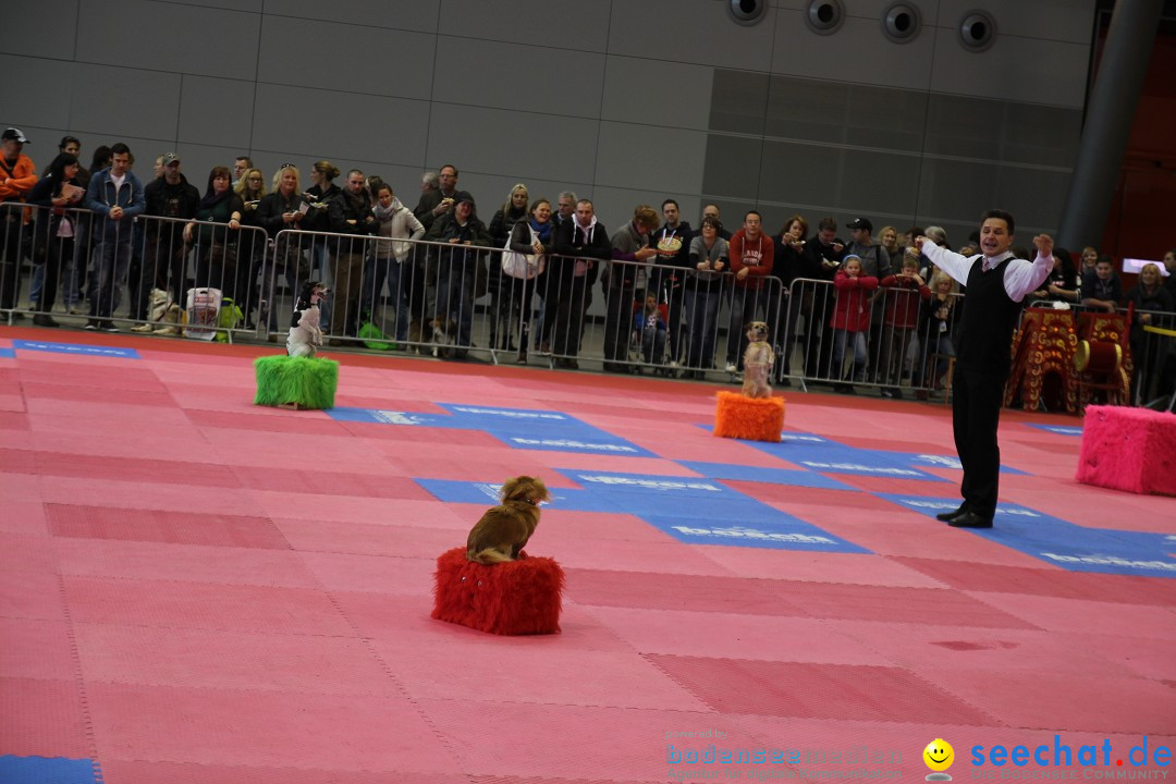 ANIMAL - Die Heimtiermesse: Messe Stuttgart, 16.11.2013