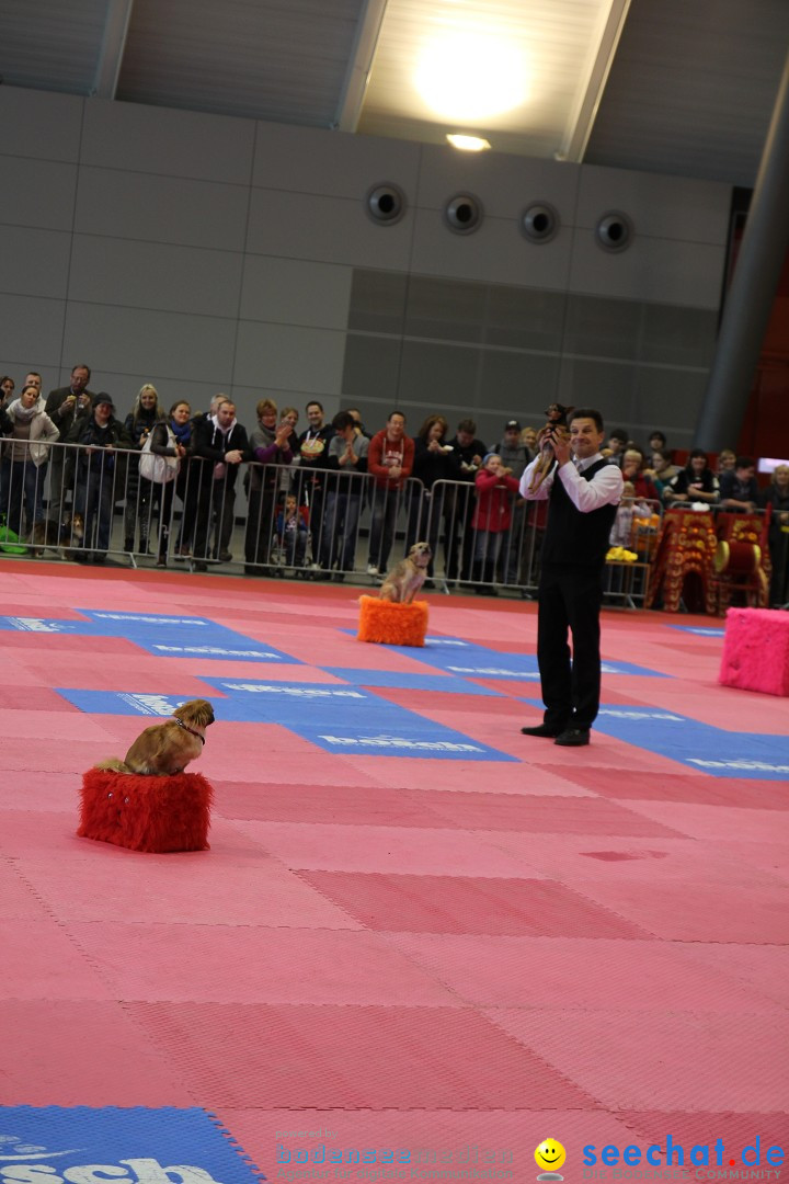 ANIMAL - Die Heimtiermesse: Messe Stuttgart, 16.11.2013