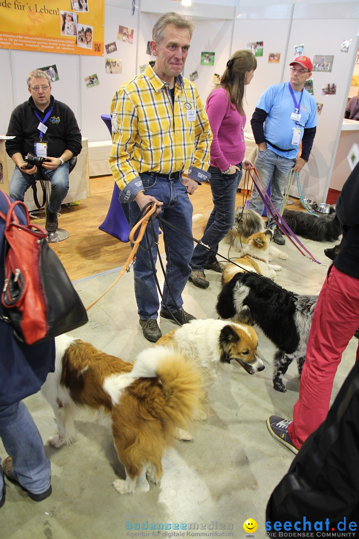 ANIMAL - Die Heimtiermesse: Messe Stuttgart, 16.11.2013