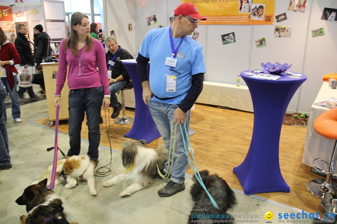 ANIMAL - Die Heimtiermesse: Messe Stuttgart, 16.11.2013