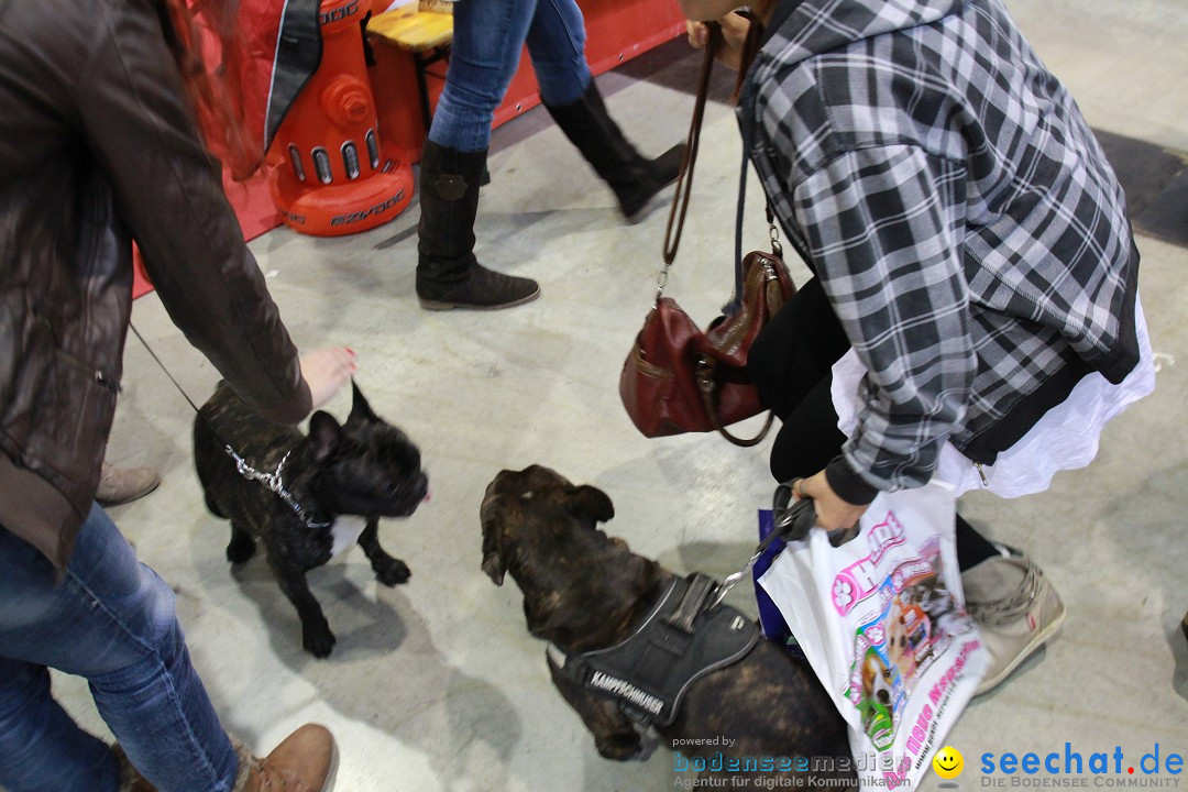 ANIMAL - Die Heimtiermesse: Messe Stuttgart, 16.11.2013