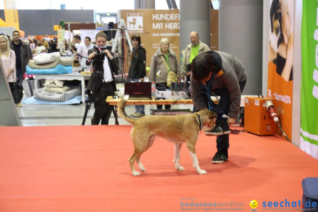 ANIMAL - Die Heimtiermesse: Messe Stuttgart, 16.11.2013