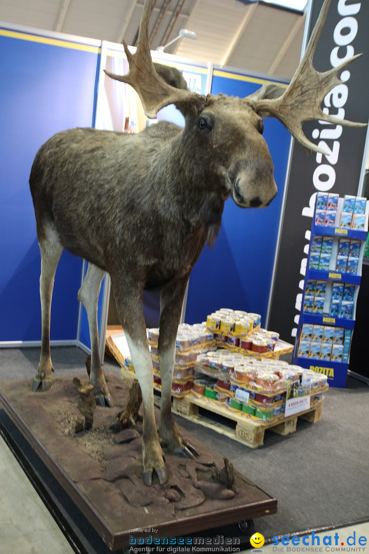 ANIMAL - Die Heimtiermesse: Messe Stuttgart, 16.11.2013