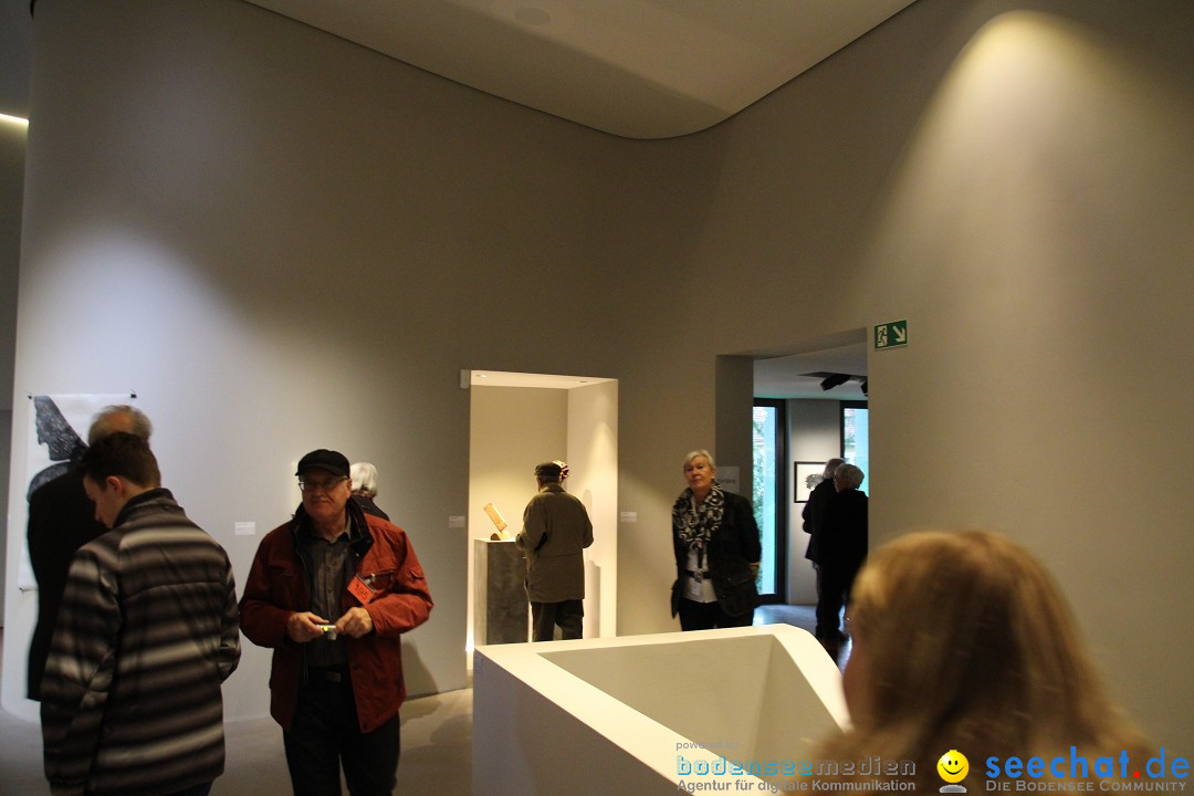 MAC-Museum-Art-Cars-Eroeffnung-Singen-24112013-Bodensee-Community-SEECHAT_DE-IMG_3993.JPG