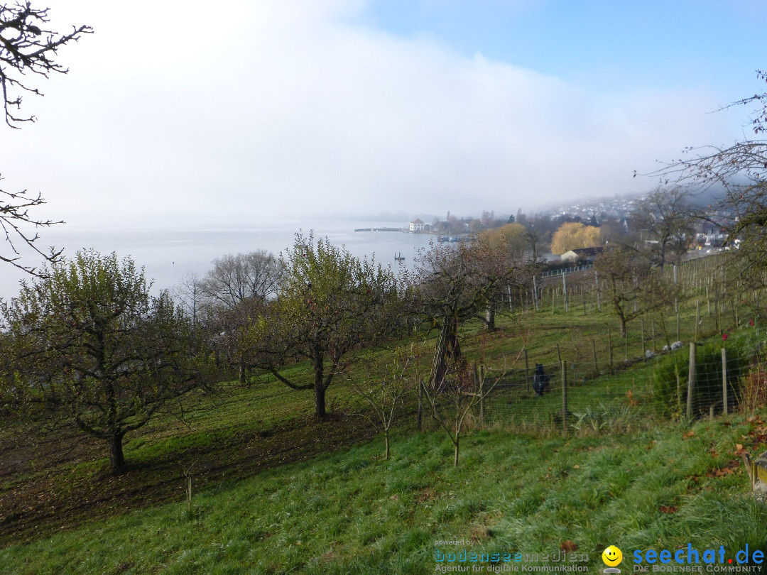 Bodensee-Herbst-Sipplingen-30-11-2013-Bodensee-Community-SEECHAT_DE-002.jpg