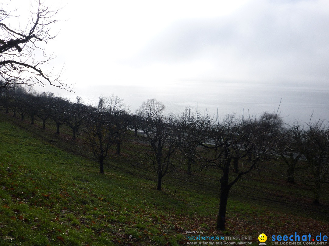 Bodensee-Herbst-Sipplingen-30-11-2013-Bodensee-Community-SEECHAT_DE-003.jpg