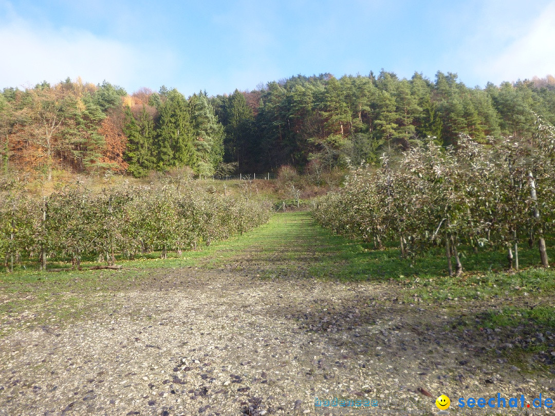 Bodensee-Herbst-Sipplingen-30-11-2013-Bodensee-Community-SEECHAT_DE-005.jpg