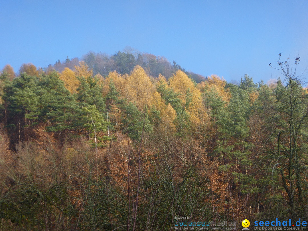 Bodensee-Herbst-Sipplingen-30-11-2013-Bodensee-Community-SEECHAT_DE-009.jpg