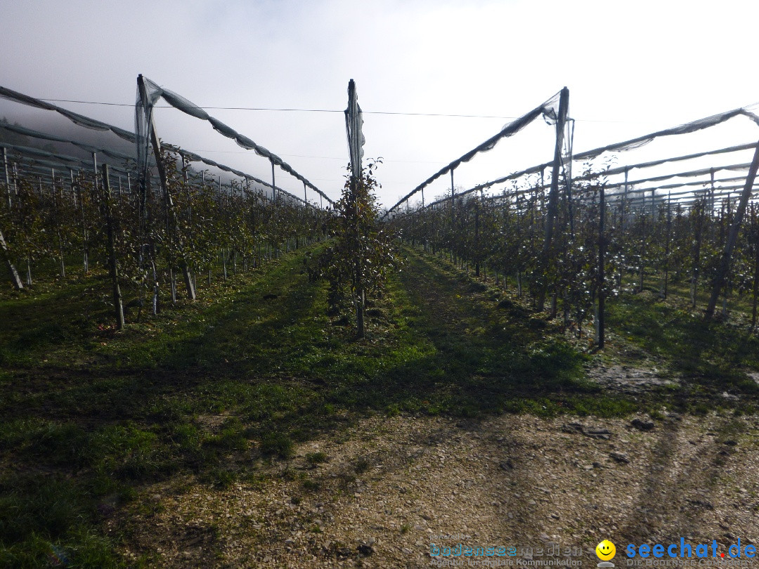 Bodensee-Herbst-Sipplingen-30-11-2013-Bodensee-Community-SEECHAT_DE-010.jpg