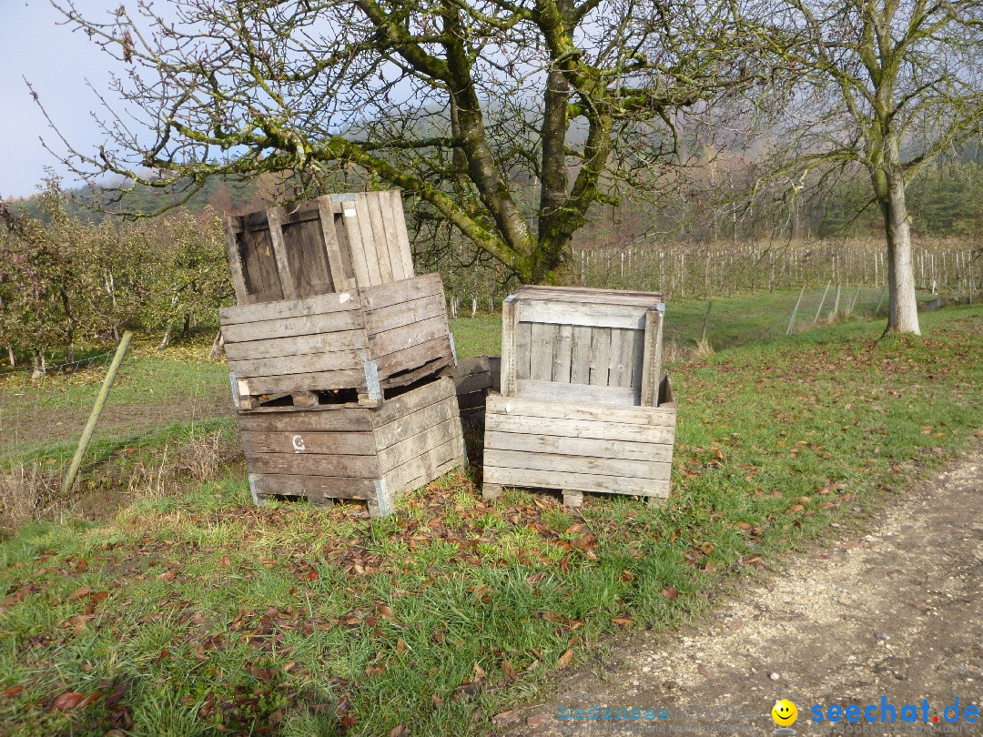 Bodensee-Herbst-Sipplingen-30-11-2013-Bodensee-Community-SEECHAT_DE-012.jpg