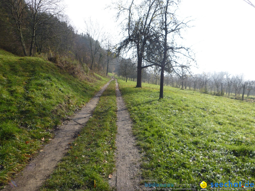 Bodensee-Herbst-Sipplingen-30-11-2013-Bodensee-Community-SEECHAT_DE-015.jpg