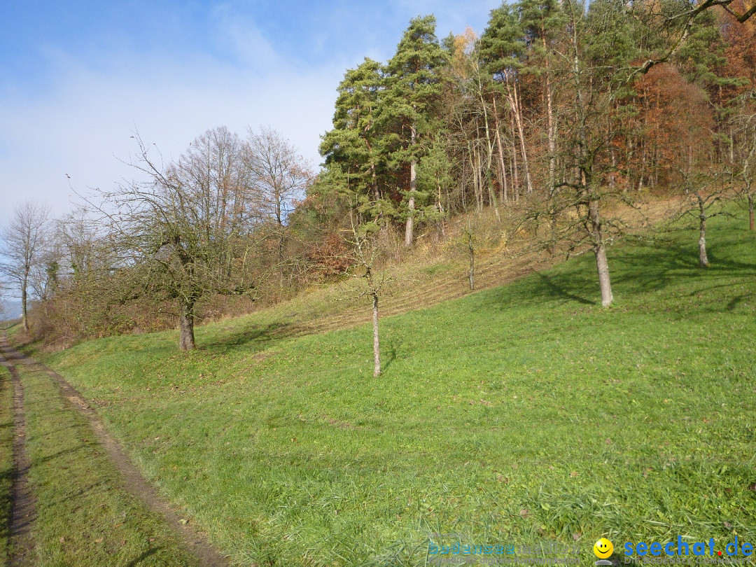 Bodensee-Herbst-Sipplingen-30-11-2013-Bodensee-Community-SEECHAT_DE-017.jpg