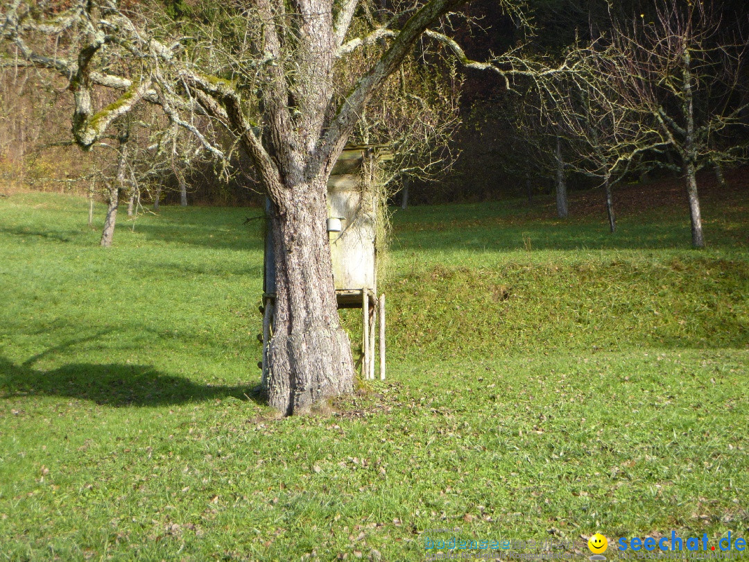 Bodensee-Herbst-Sipplingen-30-11-2013-Bodensee-Community-SEECHAT_DE-018.jpg