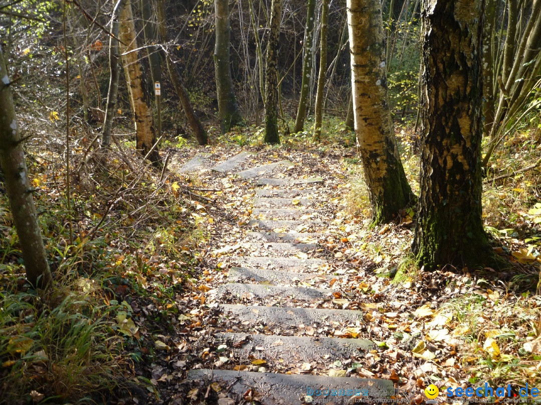 Bodensee-Herbst-Sipplingen-30-11-2013-Bodensee-Community-SEECHAT_DE-030.jpg