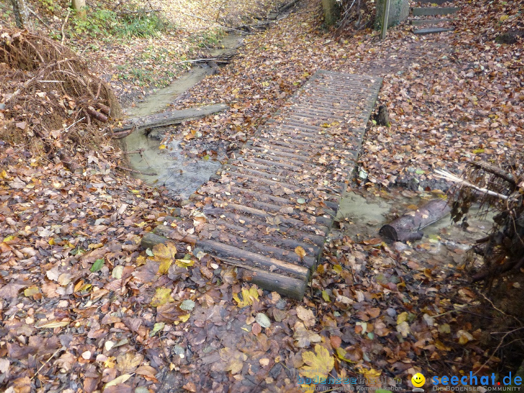 Bodensee-Herbst-Sipplingen-30-11-2013-Bodensee-Community-SEECHAT_DE-032.jpg