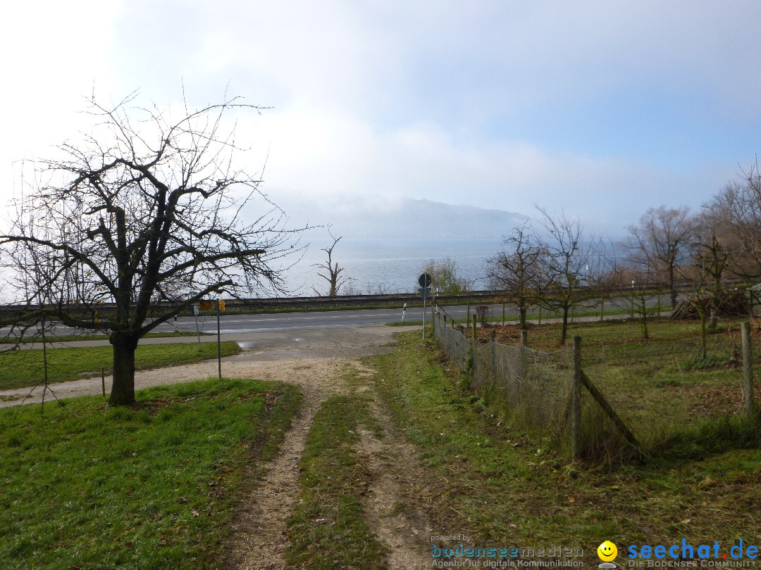 Bodensee-Herbst-Sipplingen-30-11-2013-Bodensee-Community-SEECHAT_DE-037.jpg