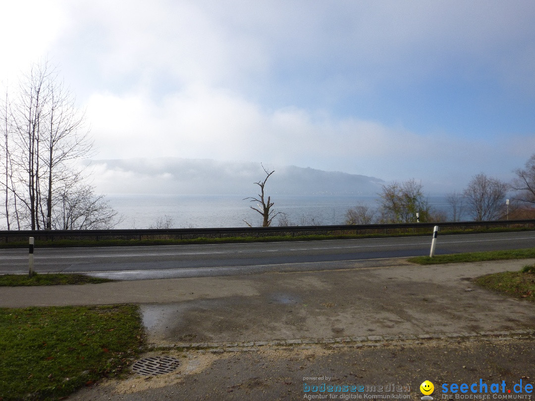 Bodensee-Herbst-Sipplingen-30-11-2013-Bodensee-Community-SEECHAT_DE-038.jpg