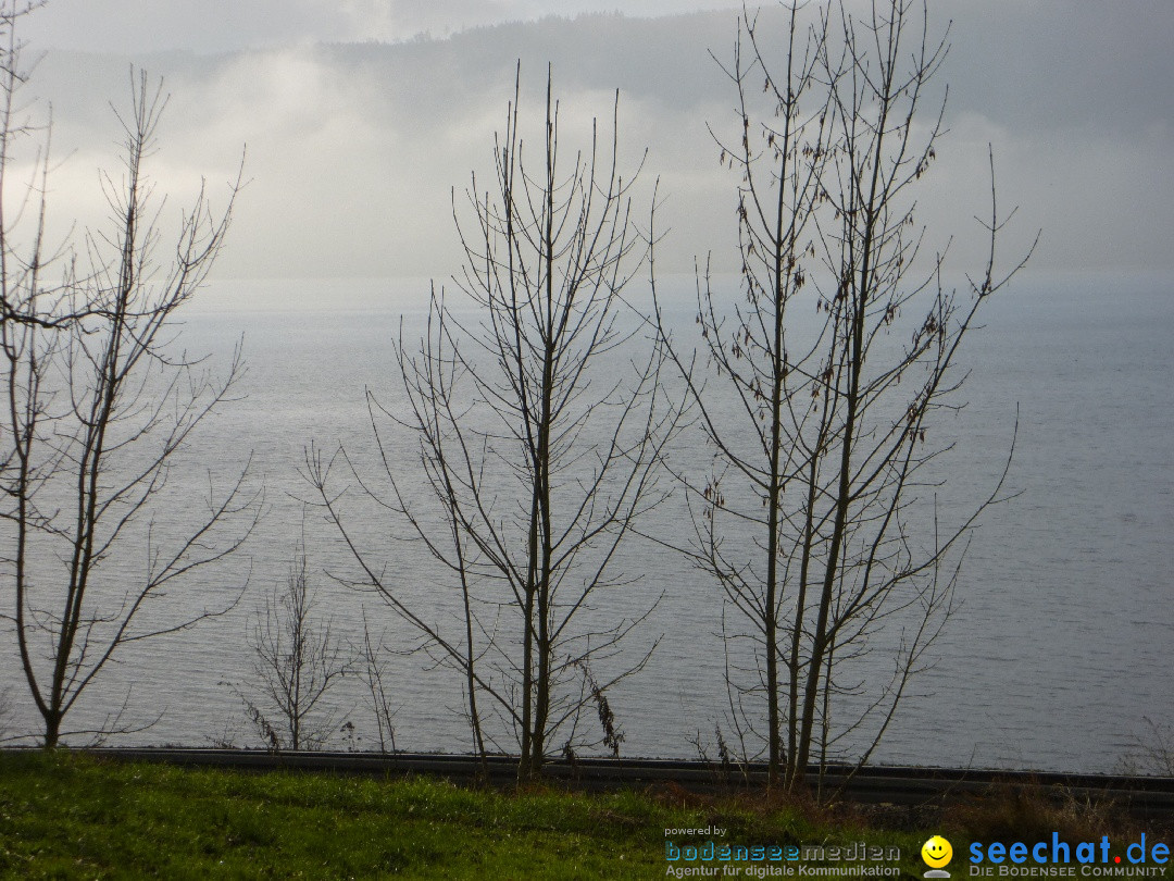 Bodensee-Herbst-Sipplingen-30-11-2013-Bodensee-Community-SEECHAT_DE-040.jpg