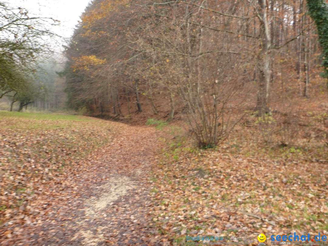 Bodensee-Herbst-Sipplingen-30-11-2013-Bodensee-Community-SEECHAT_DE-043.jpg