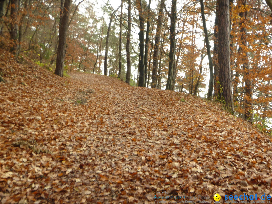 Bodensee-Herbst-Sipplingen-30-11-2013-Bodensee-Community-SEECHAT_DE-046.jpg