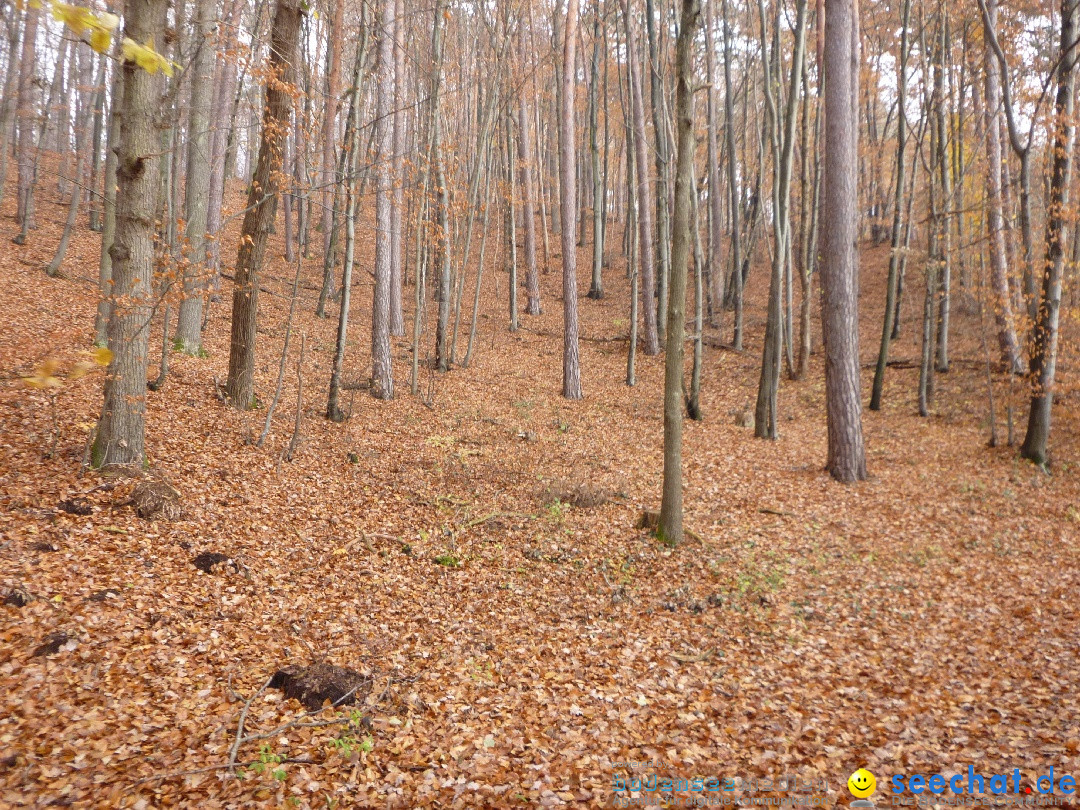 Bodensee-Herbst-Sipplingen-30-11-2013-Bodensee-Community-SEECHAT_DE-049.jpg