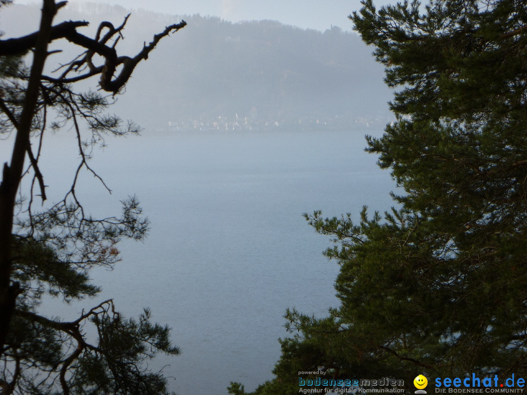 Bodensee-Herbst-Sipplingen-30-11-2013-Bodensee-Community-SEECHAT_DE-051.jpg