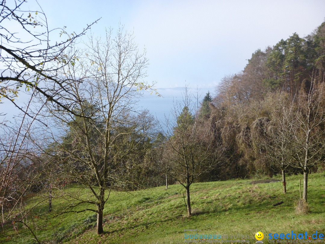 Bodensee-Herbst-Sipplingen-30-11-2013-Bodensee-Community-SEECHAT_DE-056.jpg