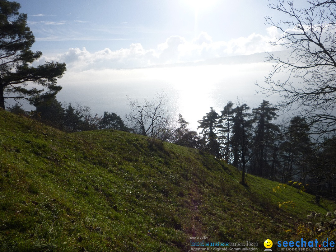 Bodensee-Herbst-Sipplingen-30-11-2013-Bodensee-Community-SEECHAT_DE-057.jpg