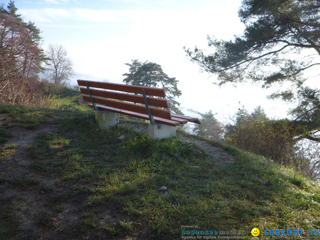 Bodensee-Herbst-Sipplingen-30-11-2013-Bodensee-Community-SEECHAT_DE-058.jpg