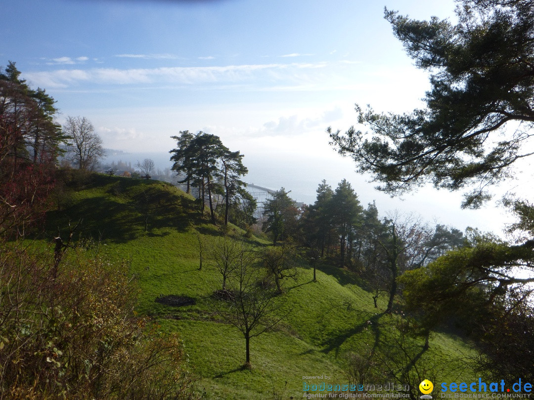 Bodensee-Herbst-Sipplingen-30-11-2013-Bodensee-Community-SEECHAT_DE-059.jpg