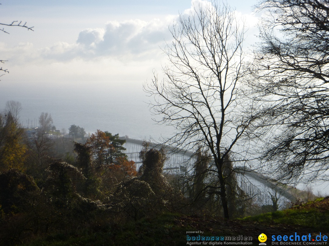 Bodensee-Herbst-Sipplingen-30-11-2013-Bodensee-Community-SEECHAT_DE-061.jpg