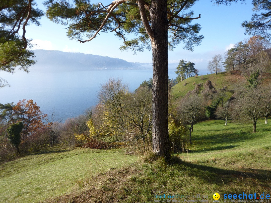 Bodensee-Herbst-Sipplingen-30-11-2013-Bodensee-Community-SEECHAT_DE-062.jpg