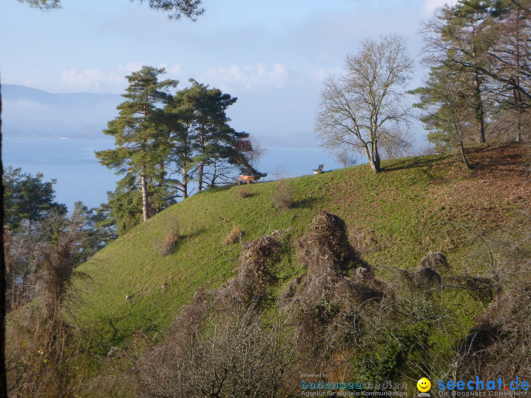 Bodensee-Herbst-Sipplingen-30-11-2013-Bodensee-Community-SEECHAT_DE-063.jpg