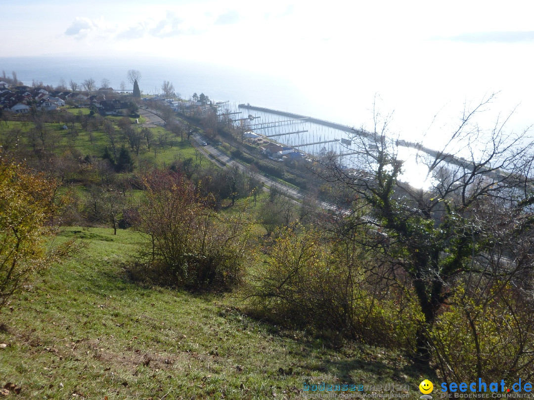 Bodensee-Herbst-Sipplingen-30-11-2013-Bodensee-Community-SEECHAT_DE-064.jpg