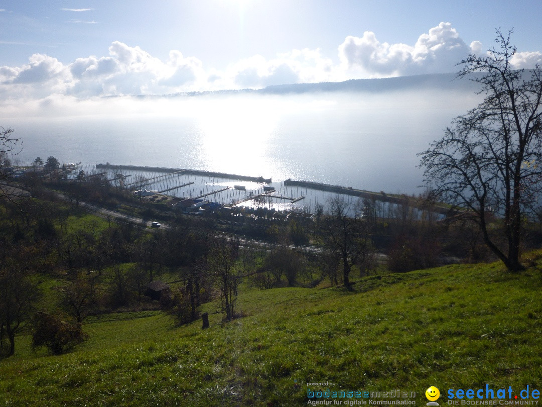 Bodensee-Herbst-Sipplingen-30-11-2013-Bodensee-Community-SEECHAT_DE-067.jpg