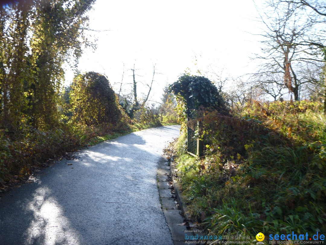 Bodensee-Herbst-Sipplingen-30-11-2013-Bodensee-Community-SEECHAT_DE-077.jpg