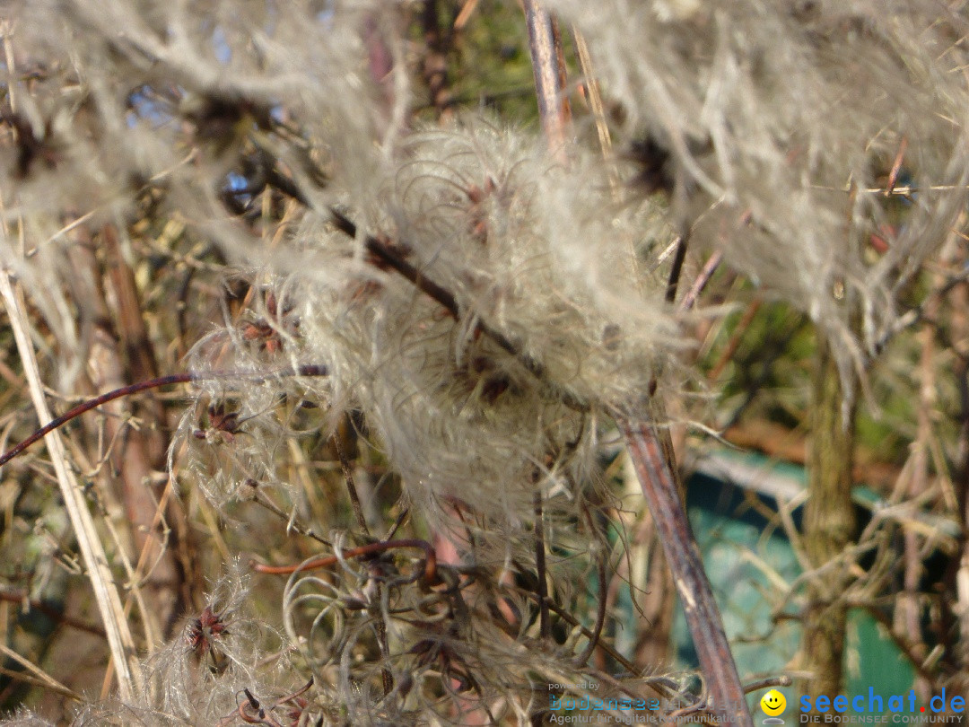 Bodensee-Herbst-Sipplingen-30-11-2013-Bodensee-Community-SEECHAT_DE-079.jpg