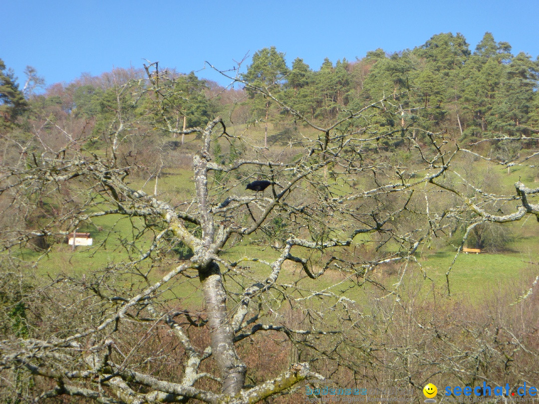 Bodensee-Herbst-Sipplingen-30-11-2013-Bodensee-Community-SEECHAT_DE-084.jpg