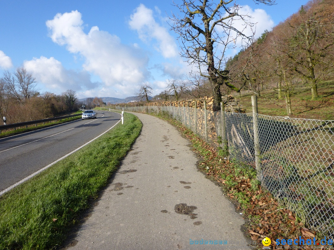 Bodensee-Herbst-Sipplingen-30-11-2013-Bodensee-Community-SEECHAT_DE-103.jpg