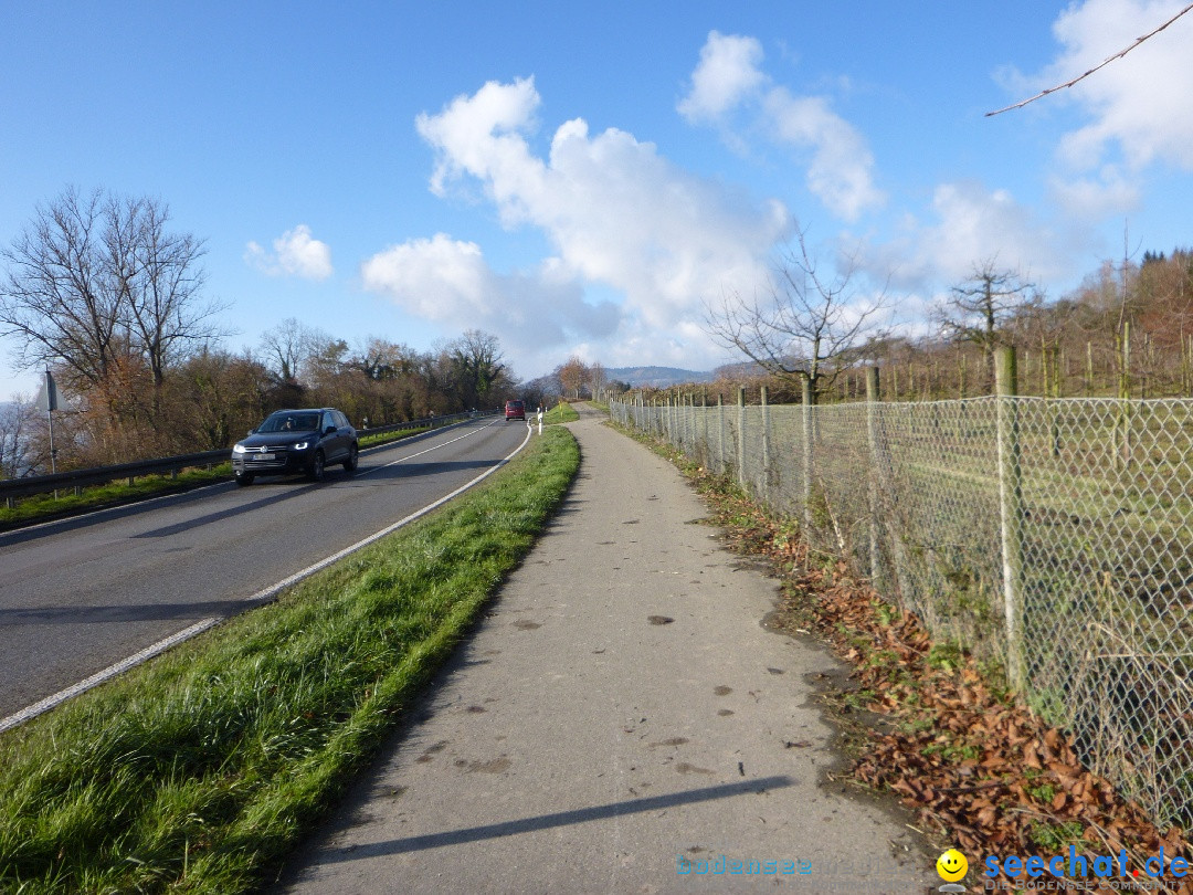 Bodensee-Herbst-Sipplingen-30-11-2013-Bodensee-Community-SEECHAT_DE-104.jpg