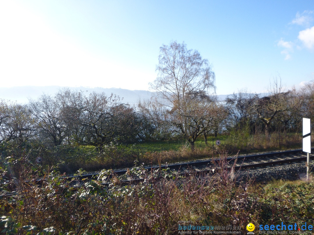 Bodensee-Herbst-Sipplingen-30-11-2013-Bodensee-Community-SEECHAT_DE-105.jpg