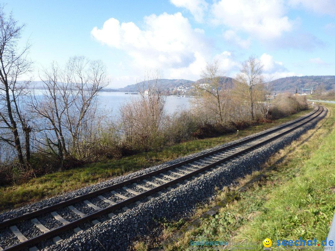 Bodensee-Herbst-Sipplingen-30-11-2013-Bodensee-Community-SEECHAT_DE-107.jpg