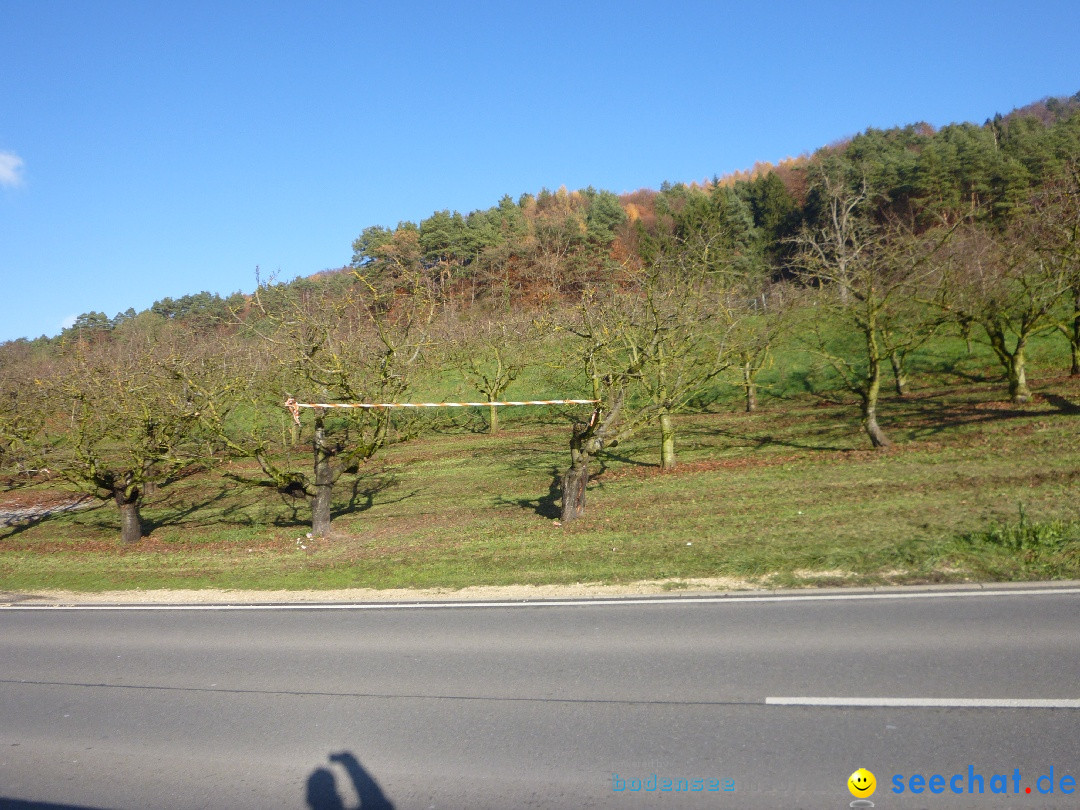 Bodensee-Herbst-Sipplingen-30-11-2013-Bodensee-Community-SEECHAT_DE-108.jpg