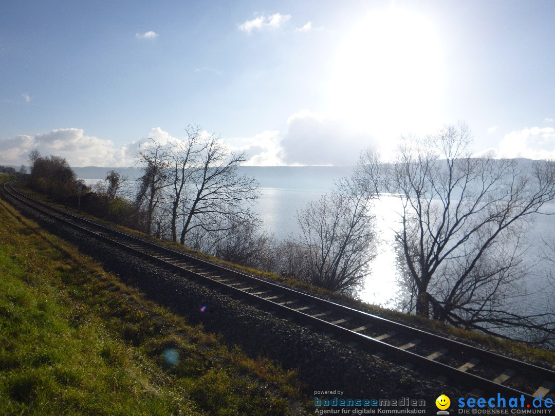 Bodensee-Herbst-Sipplingen-30-11-2013-Bodensee-Community-SEECHAT_DE-115.jpg