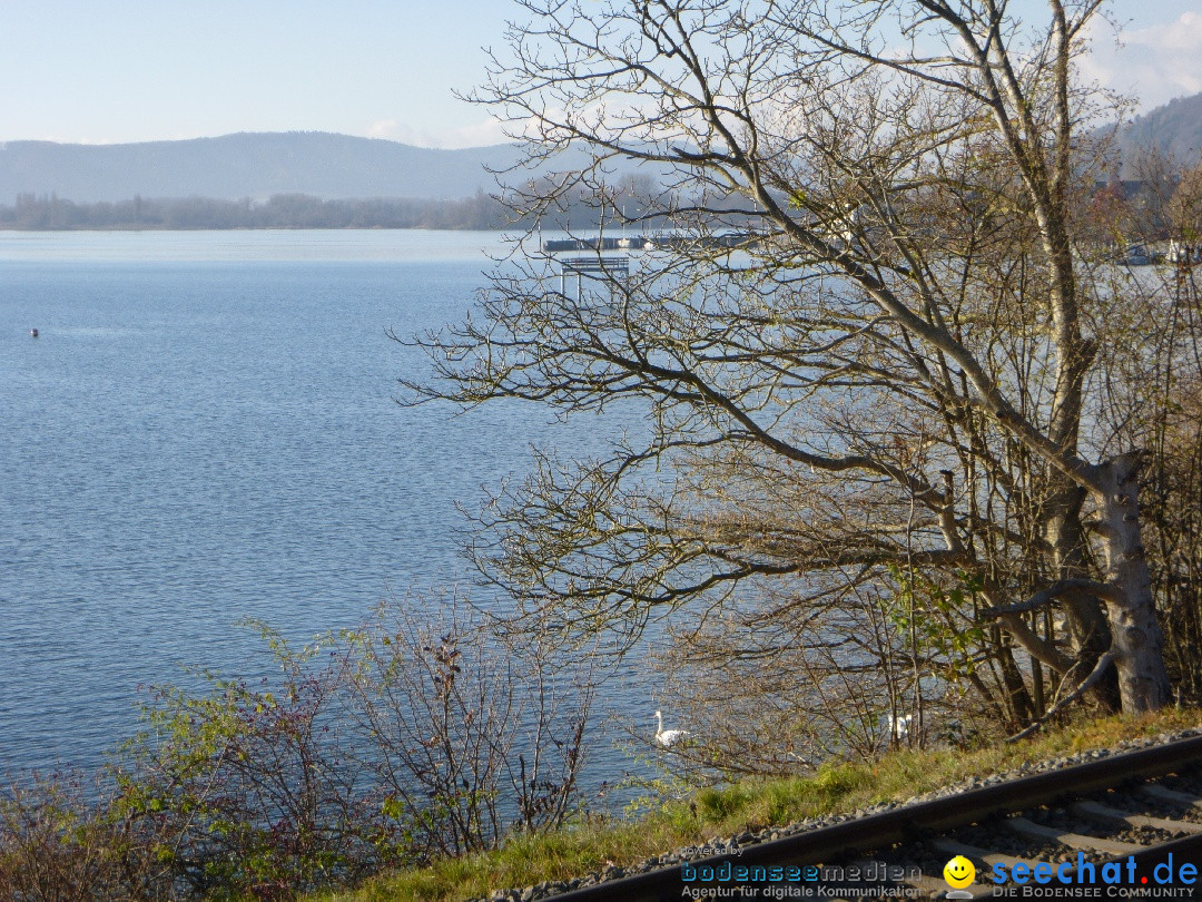 Bodensee-Herbst-Sipplingen-30-11-2013-Bodensee-Community-SEECHAT_DE-118.jpg