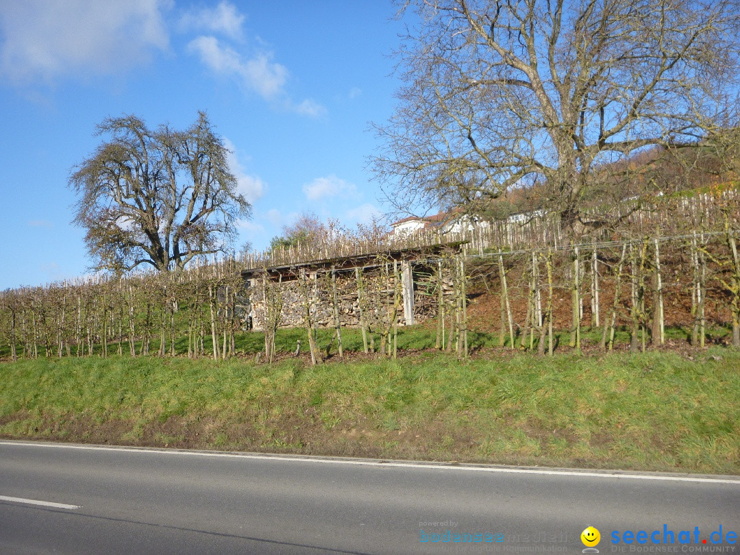 Bodensee-Herbst-Sipplingen-30-11-2013-Bodensee-Community-SEECHAT_DE-120.jpg