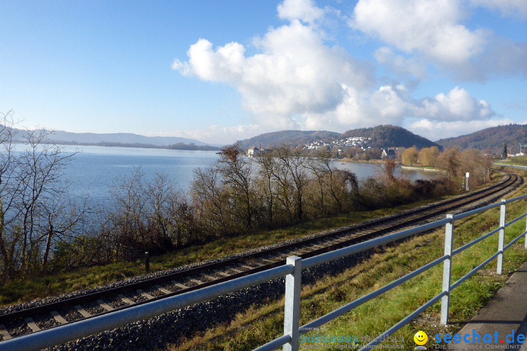 X1-Bodensee-Herbst-Sipplingen-30-11-2013-Bodensee-Community-SEECHAT_DE-092.jpg