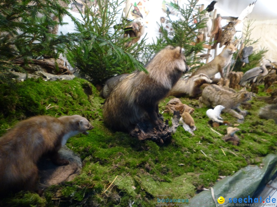 Weihnachtsmarkt: Engen im Hegau am Bodensee, 30.11.2013