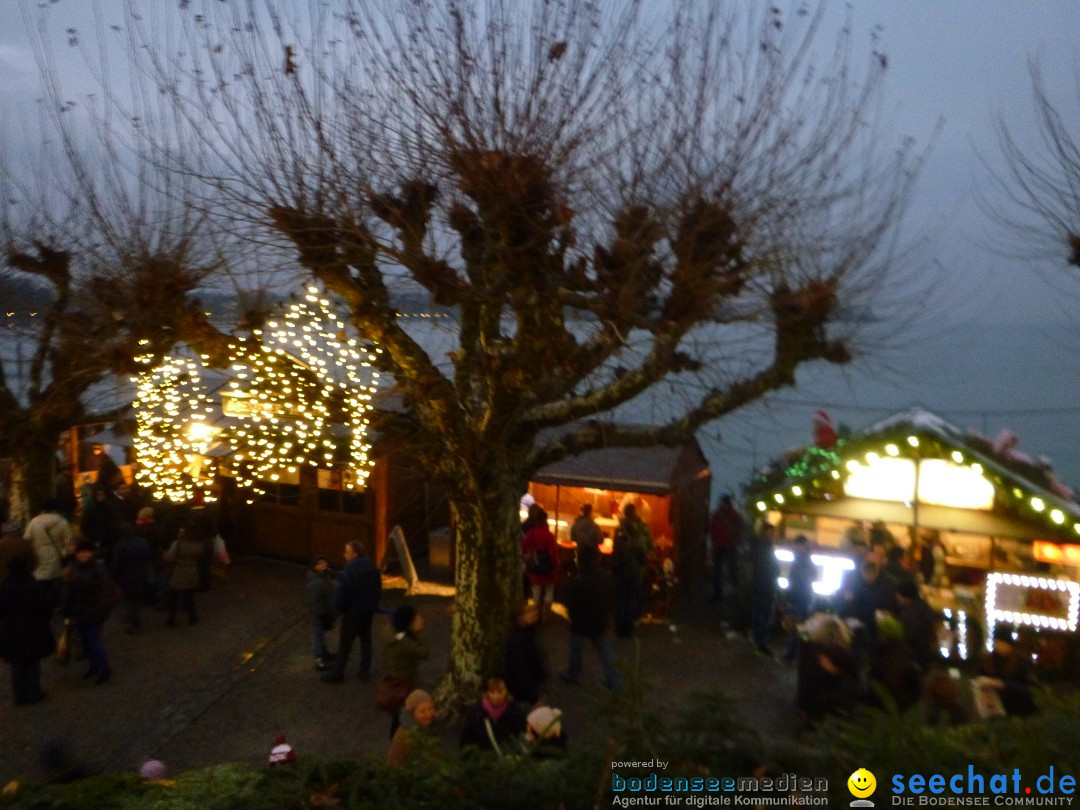 seechat.de Bodensee Community Treffen: Konstanz, 14.12.2013